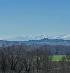 2014110310180383440 2014110310180383440